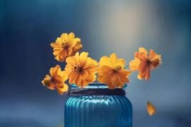 生活随心的句子，心宽看淡的文案