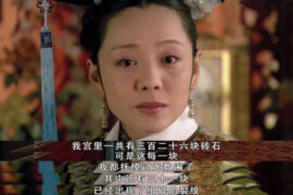 砖妃是什么梗？砖妃是谁的绰号？