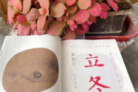 立冬文案短句干净简短合集，立冬的文案句子精选