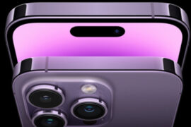 败家紫是什么梗？败家紫的意思详解