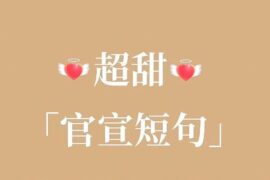 适合公开恋情时发的甜甜的低调官宣句子