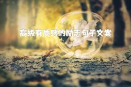 高级有质感的励志句子文案(优选50句)