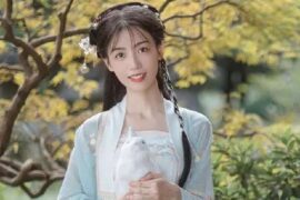 银临《眉南边》歌词封面图