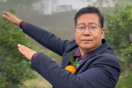 广西武鸣沃柑橘长是什么梗