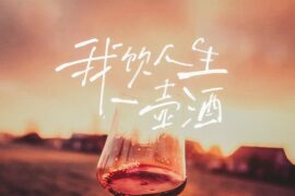 《我饮人生一壶酒》歌词封面图