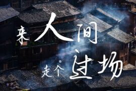 《来人间走个过场》歌词封面图