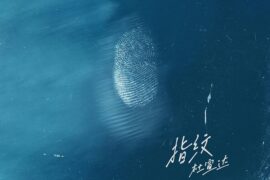 杜宣达《指纹》歌词封面图