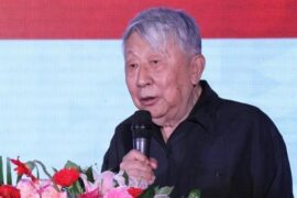 那英《雾里看花》阎肃歌词封面图