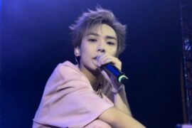 郑润泽《绽放》歌词封面图