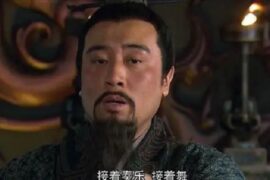 于和伟刘皇叔蹦迪接着奏乐接着舞