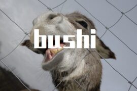 bushi是什么梗？为什么句子后面加(bushi)