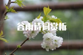 关于谷雨的古诗和诗句赏析