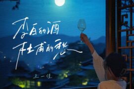 王一佳《李白的酒杜甫的愁》歌词封面图