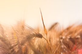 散落的时光：岁月中的离别和成长