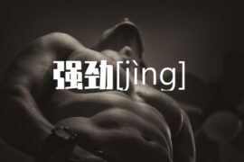 劲的多音字组词