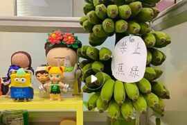 禁止蕉绿是什么梗