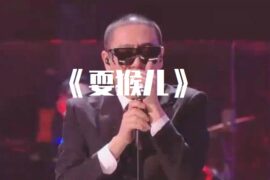 二手玫瑰《耍猴儿》歌词封面图