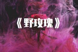 就是南方凯《野玫瑰》歌词封面图