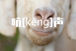 吭的多音字组词