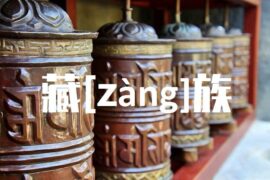 藏的多音字组词