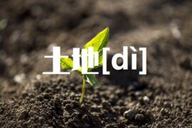 地的多音字组词-封面图