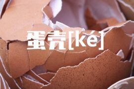 壳的多音字组词