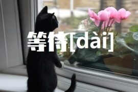 待的多音字组词