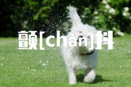 颤的多音字组词