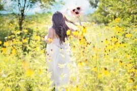 《山花寻海树，不如就春风》全文