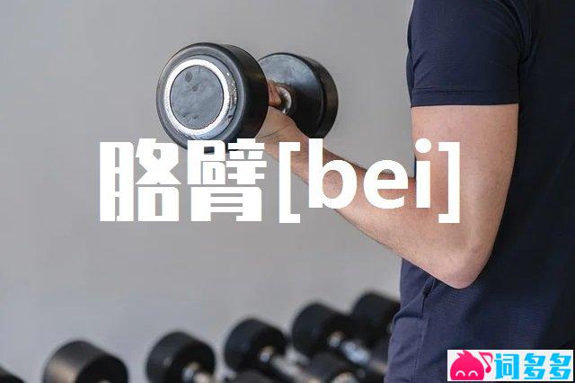 臂的多音字组词-封面图