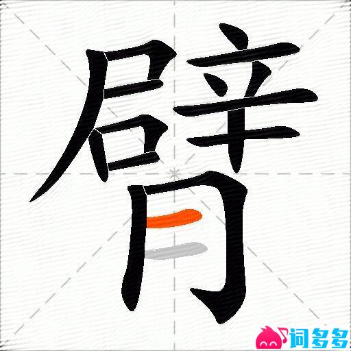 臂的多音字组词-图1