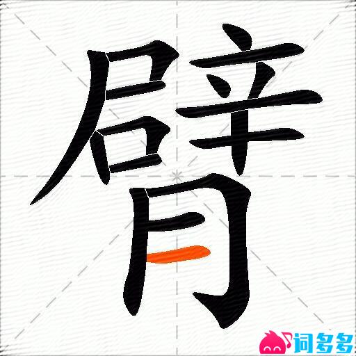 臂的多音字组词-图2