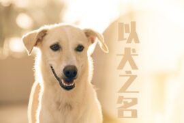 《以父之名》歌词高清封面图