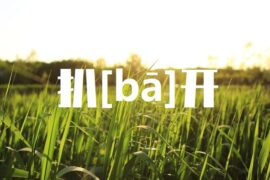 扒的多音字组词-封面图