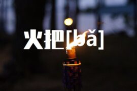 把的多音字组词-封面图