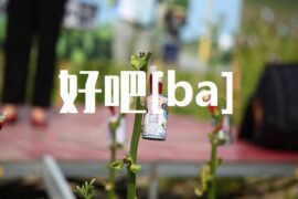 吧的多音字组词-封面图