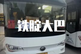 铁锭大巴什么梗