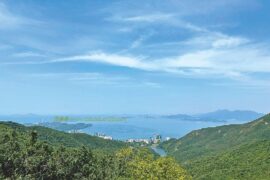 初夏的风-高清图片