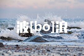 波的组词高清封面图