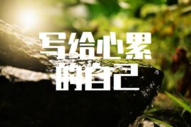 写给心累的自己-文章高清封面图
