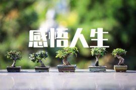 感慨人生的句子高清封面图