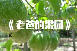 经典散文《老爸的果园》高清封面图