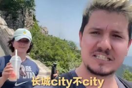 city不city是什么梗-封面图