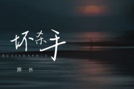 探长《坏杀手》歌词高清封面图