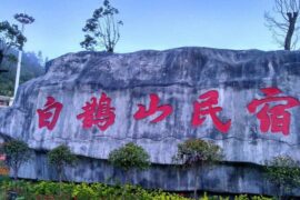 夏日白鹊山-封面图