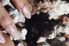 NIKI《Tsunami》歌词封面图