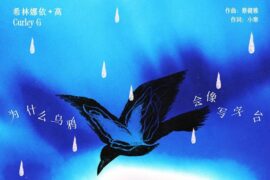 希林娜依高《为什么乌鸦会像写字台》歌词封面图