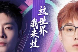 宝石Gem、陈泽《这世界我来过》歌词封面图