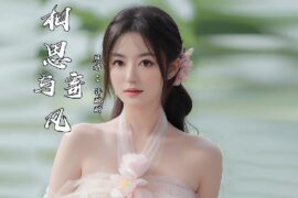 许晰晰《相思寄与风》歌词封面图