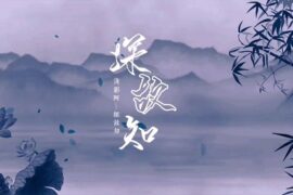 浅影阿《探故知》歌词封面图